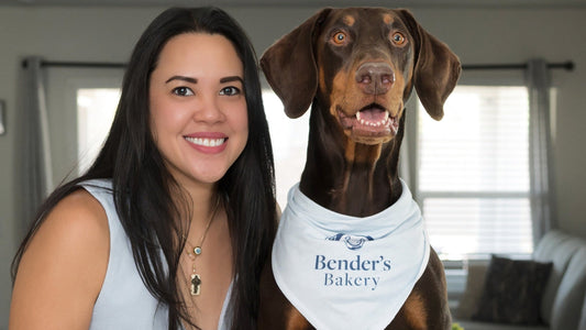 Benders Bakery Featured in Bold Journey