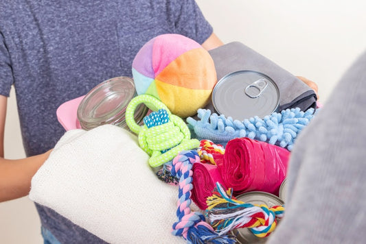 closeup of two people exchanging a box of dog supplies