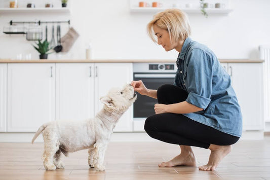 woman kneeling down in kitchen to give a treat to her dog