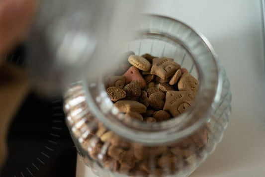 closeup of dog treats in a glass jar with the lid raised