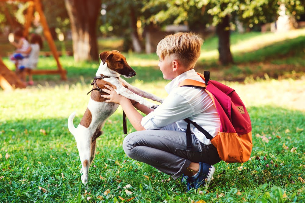 boy wearing a backpack crouching to greet his dog in a field